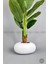 Yapay Muz Ağacı 190 cm Bone Saksı 4