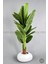 Yapay Muz Ağacı 190 cm Bone Saksı 6