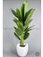Yapay Muz Ağacı 220 cm Bone Saksı 4