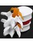 1 Pcs Omurga Lomber Disk Herniasyon Öğretim Modeli ve 1 Pcs Insan Anatomisi Omurga Vertebral Model (Yurt Dışından) 5