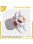 Insan Anatomisi Omurga Lomber Disk Herniasyon Öğretim Modeli Beyin Kafatası Travmatik Okul Malzemeleri Enstrüman (Yurt Dışından) 2