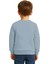 Unisex Düz Baskısız Çocuk Sweatshirt 3 Iplik Şardonlu Kumaş 2