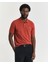 Erkek Turuncu Regular Fit Polo 2210.623 1