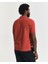Erkek Turuncu Regular Fit Polo 2210.623 3