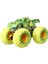 Hot Wheels Monster Trucks Karanlıkta Parlayan Araçlar Paketi Hot Wheels Monster Trcuks Araba Seti 2