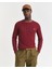 Erkek Bordo Regular Fit Bisiklet Yaka Örgü Kazak 8050601.604 1