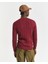 Erkek Bordo Regular Fit Bisiklet Yaka Örgü Kazak 8050601.604 3