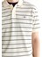 Erkek Krem Regular Fit Çizgili Polo 2014026.130 5