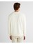 Erkek Krem Regular Fit Bisiklet Yaka Logolu Sweatshirt 2067062.130 2