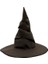 Harry Potter Seçmen Şapkası Yetişkin Boy 1
