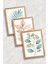 Bohem Minimalist Ahşap Çerçeveli Tablo - 3'lü Tablo Seti - Duvar Tablosu - Üçlü Tablo 2