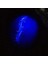 Buğz Şeffaf Renk Karanlıkta Parlayan Fosforlu Kırkayak 13 cm 1 Adet 1