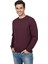Erkek Sıfır Yaka Petek Doku Regular Fit Sweatshirt BGL-ST04950 2