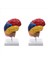 2x Serebral Anatomik Model Anatomi 1 1 Yarı Beyin Beyin Seri Öğretim Laboratuvarı Malzemeleri (Yurt Dışından) 1