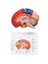 2x Serebral Anatomik Model Anatomi 1 1 Yarı Beyin Beyin Seri Öğretim Laboratuvarı Malzemeleri (Yurt Dışından) 3