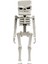 Filmi Büyük Aksiyon Figürü 30 cm JFR65 - Skeleton JFR68 2