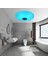 Rgb Bluetooth Hoparlör ile Uzaktan Kumandalı 12 Inç Tavan Işığı 24W LED Floş Montaj Duş Lambası Fikstürü Ab Fişi (Yurt Dışından) 3