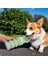 Taşınabilir Katlanabilir Silikon Pet Su Bardağı Sızdırmaz Pet Içme Dispenseri Açık Yürüyüş ve Köpeklerle Seyahat Için (Yurt Dışından) 5