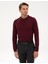 Erkek Bordo Slim Fit Polo Yaka Basic Triko Kazak 50315405-VR177 3