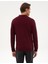 Erkek Bordo Slim Fit Polo Yaka Basic Triko Kazak 50315405-VR177 5