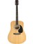 F650N Naturel Akustik Gitar 6