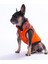 Turuncu Elgin Paws Ekose Desen Yelek Köpek Yeleği Köpek Kıyafeti Köpek Yağmurluk 3