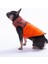 Turuncu Elgin Paws Ekose Desen Yelek Köpek Yeleği Köpek Kıyafeti Köpek Yağmurluk 5