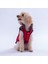 Kırmızı Elgin Paws Ekose Desen Yelek Köpek Yeleği Köpek Kıyafeti Köpek Yağmurluk 3