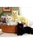 Ithal Peluş Kedi Oturan Kedi Gerçek Tekir Kedi Gürünümlü 30 cm Peluş Oyuncak 3