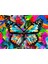 Renkli Kelebek Dansı Pop Art Kanvas Tablo 2