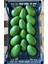 Avokado 3