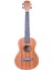Tenor Ukulele 1