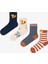 Çok Renkli Erkek Çocuk Foxy Stripe 4lü Soket Çorap 1