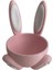 Pembe Tavşan Yumurtalık 1
