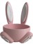 Pembe Tavşan Yumurtalık 2