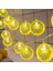 2 M 10 LED Pilli 2 Kademeli Limon LED Işık 6200-269 1