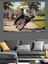 Parkta Bisiklet Süren Maymun Dekoratif Kanvas - Mdf Ahşap Tablo 5