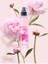Sensity Pink Bloom 70 Derece 200 ml Sprey Kolonya Güz Nergisi ile Tazelik Sunar 2