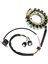 Motosiklet Jeneratörü Magneto Stator Bobini 3HN-85510-00-00 Yamaha Savaşçısı YFM350 1990-1995 (Yurt Dışından) 1
