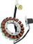 5GH-81410-00-00 Yamaha Atv Grizzly 400 450 Wolverine 450 5ND-81410-00-00 Için Yeni Motosiklet Magneto Jeneratör Stator Bobini (Yurt Dışından) 2
