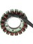 5GH-81410-00-00 Yamaha Atv Grizzly 400 450 Wolverine 450 5ND-81410-00-00 Için Yeni Motosiklet Magneto Jeneratör Stator Bobini (Yurt Dışından) 3
