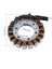 5GH-81410-00-00 Yamaha Atv Grizzly 400 450 Wolverine 450 5ND-81410-00-00 Için Yeni Motosiklet Magneto Jeneratör Stator Bobini (Yurt Dışından) 5