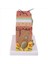 2x Cilt Modeli 35X/50X Cilt ve Saç Yapısı Büyütme Modeli Anatomik Model Anatomi (Yurt Dışından) 3
