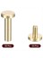 30 Pack Brass Chicago Vidaları 15X8MM Düz Kafa Vidası Geri Bağlanma Dıy Için Tırnak Sapı Posta Perçinli Tatırıcı (Yurt Dışından) 2