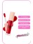 Callista I Care A Lot Lip Oil Nemlendirici ve Parlatıcı Dudak Bakım Yağı - 40 Red Vibes - Kırmızı 2