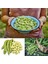 Sakız Bakla Tohumu Fava Beans Seeds 5