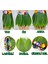 Tropikal Esintili Hawaii Yapraklı Parti Eteği Çocuk Boy 2