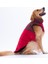 Kırmızı Elgin Paws Ekose Desen Yelek Büyük Irk Köpek Yeleği Köpek Kıyafeti Köpek Yağmurluk 3