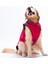 Kırmızı Elgin Paws Ekose Desen Yelek Büyük Irk Köpek Yeleği Köpek Kıyafeti Köpek Yağmurluk 4