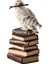Kitap Yığını Üzerindeki Sihirli Değnekli Hedwig Kar Baykuşu Biblosu / Küçük Boy 1